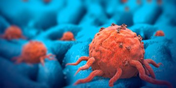 FDA approves first PI3K inhibitor for breast most cancers 12
