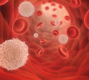 Cure Leukaemia unveils 100 supporter plaques for World Blood Cancer Day 7