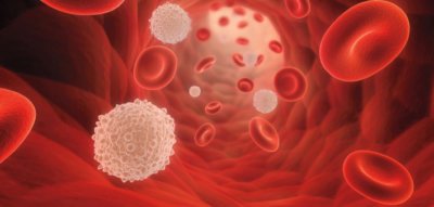 Cure Leukaemia unveils 100 supporter plaques for World Blood Cancer Day 9