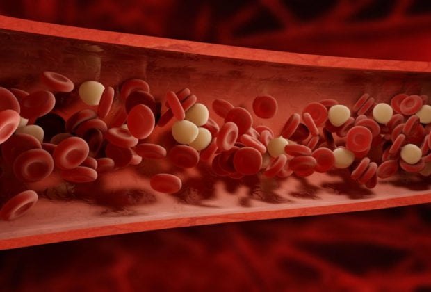 Exclusive: Teen with cancer only diagnosed two times before urges humans to provide blood 1