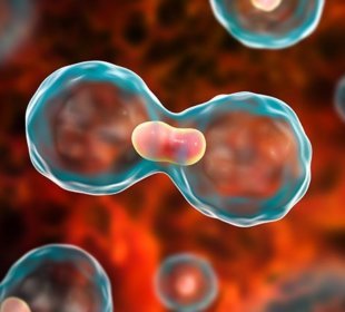 ASCO 2019 news: focused on breast cancer 4