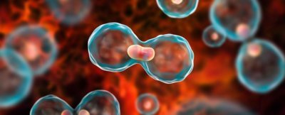 ASCO 2019 news: focused on breast cancer 6