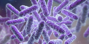 How the Microbiome Might Predict Diabetes, Premature Birth and Gut Diseases 12