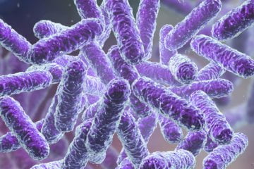 How the Microbiome Might Predict Diabetes, Premature Birth and Gut Diseases 3