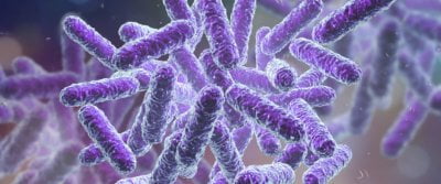 How the Microbiome Might Predict Diabetes, Premature Birth and Gut Diseases 6