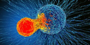 Immunotherapy Is Now Here For Breast Cancer. What Are Its Prospects? 13
