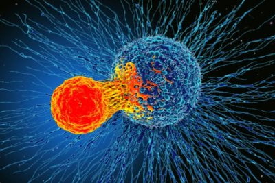 Immunotherapy Is Now Here For Breast Cancer. What Are Its Prospects? 8