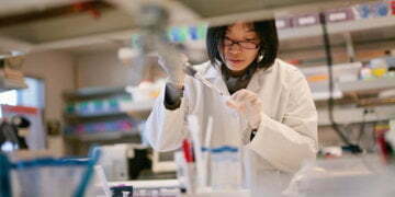 Researchers pioneer new version of care for sufferers with returned ache in NZ 13