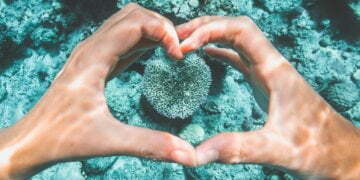 Few ways in which you can make eco-friendly travel decisions 11