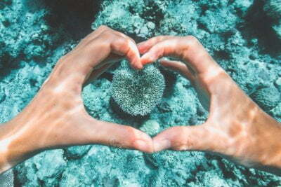 Few ways in which you can make eco-friendly travel decisions 11