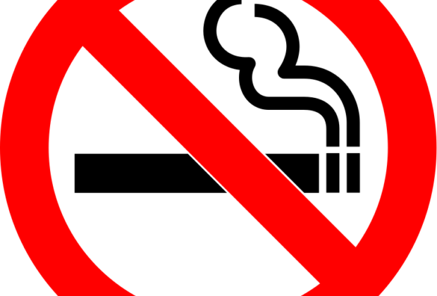 Buy a no smoking sign and add some humor to your life 1