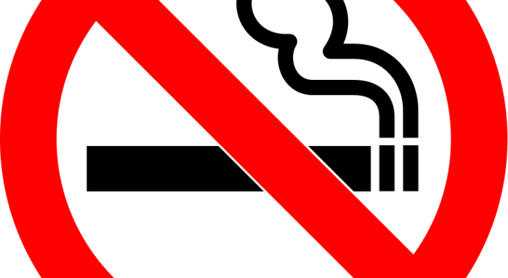 Buy a no smoking sign and add some humor to your life 16