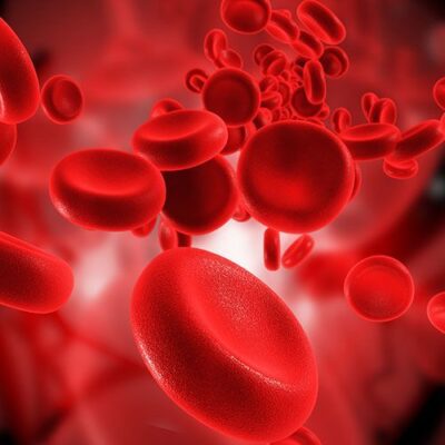 Why Do People Get Blood Cancer? 9