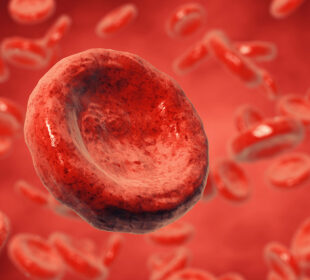 The Explanation Behind Why The Cells Are So Small 10