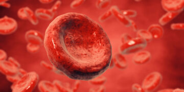 The Explanation Behind Why The Cells Are So Small 14