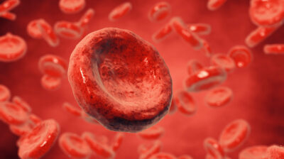 The Explanation Behind Why The Cells Are So Small 1